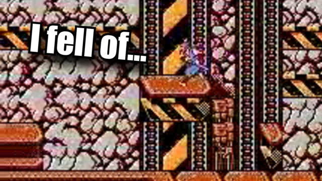 i fell onb acident in the end... | Ninja Gaiden