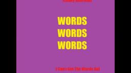 I Can't Get The Words Out-Ashley Boorman
