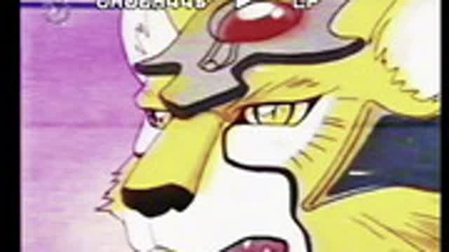 Sakura Card Captors En Venevision 2004 Totally real and rare