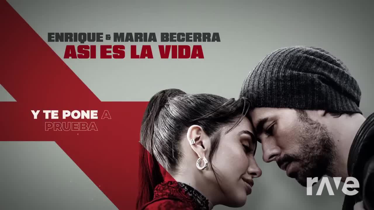 El Final De La Agression De La Vida