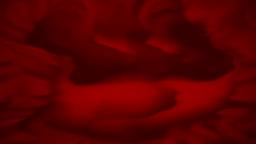 Mushroom Demon in DEMONIC G-MAJOR!