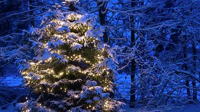 Weihnachten auf dem Landsitz 2