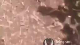 ukranian funny artillery epic fail