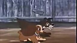 RECOVER VIDEO OF My Edited Video LADY AND THE TRAMP PREVIEW!