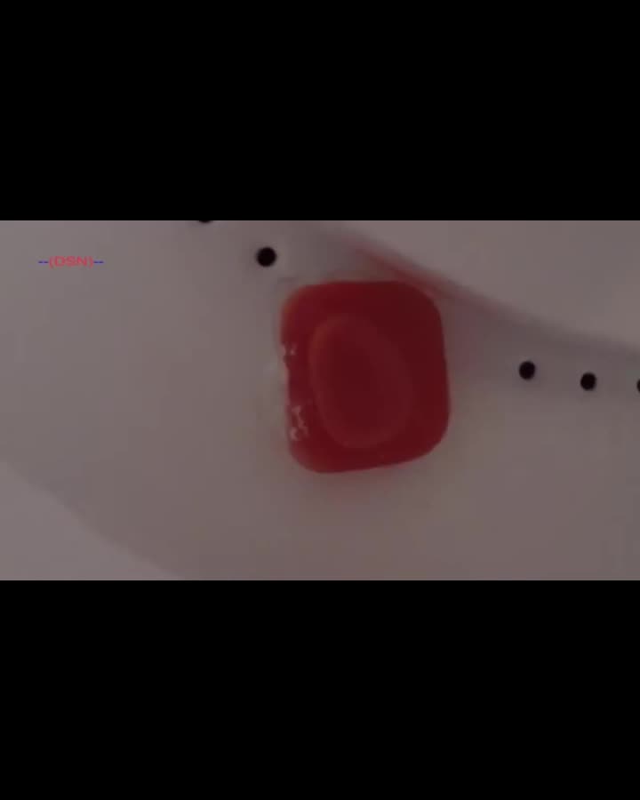 Drew Pickles uses his washer as a dildo