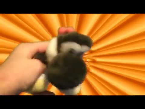 SuperMarioLogan Theme Song "Original Version" ft. DeStorm [REUPLOADED]