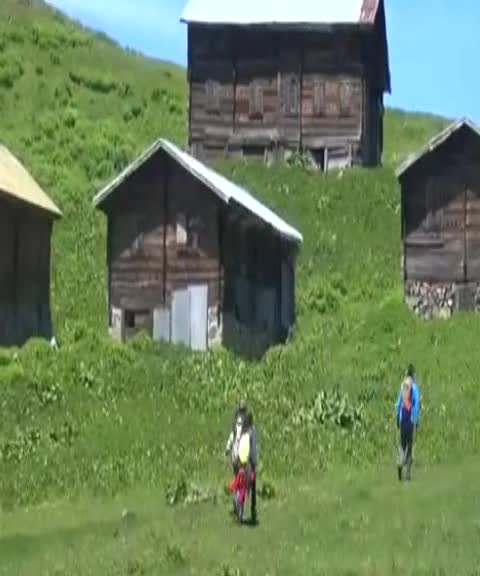 Karadeniz’de yeşeren yayla