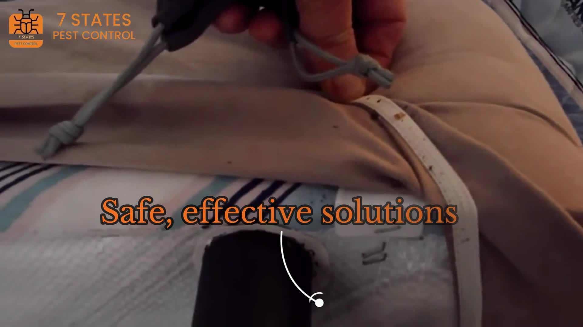 Best Bed Bug Exterminator in Melbourne  Effective Bed Bug Removal in Melbourne