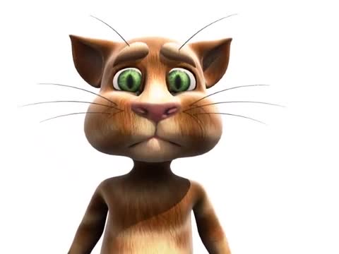 Random Talking Tom Video