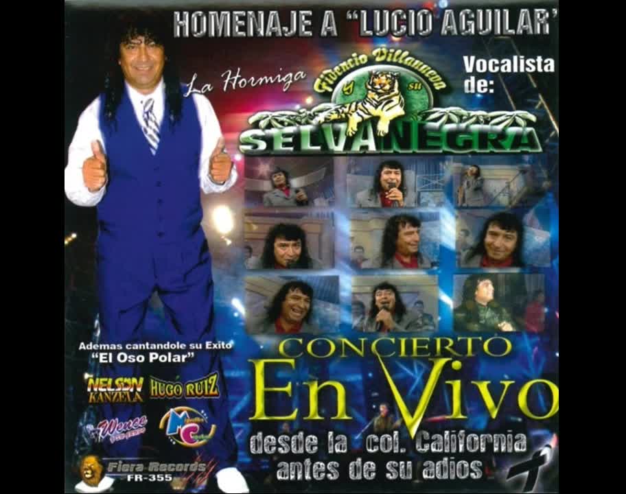 Fidencio Villanueva Y Su Selva Negra Cumbia De Los Pajaritos En Vivo Homenaje A Lucio Aguilar 2010