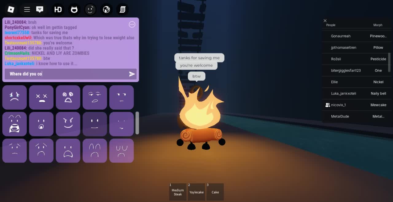 Roblox-2025-05-13T13_26_25.211Z