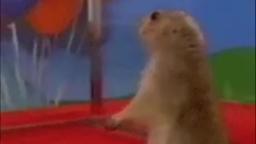 Dramatic Chipmunk (This Is Sparta Remix)
