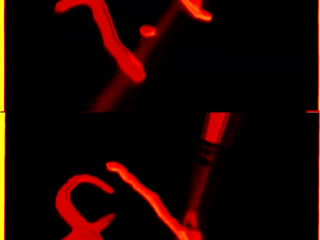 1993 FHE logo in dany kemiche's g major