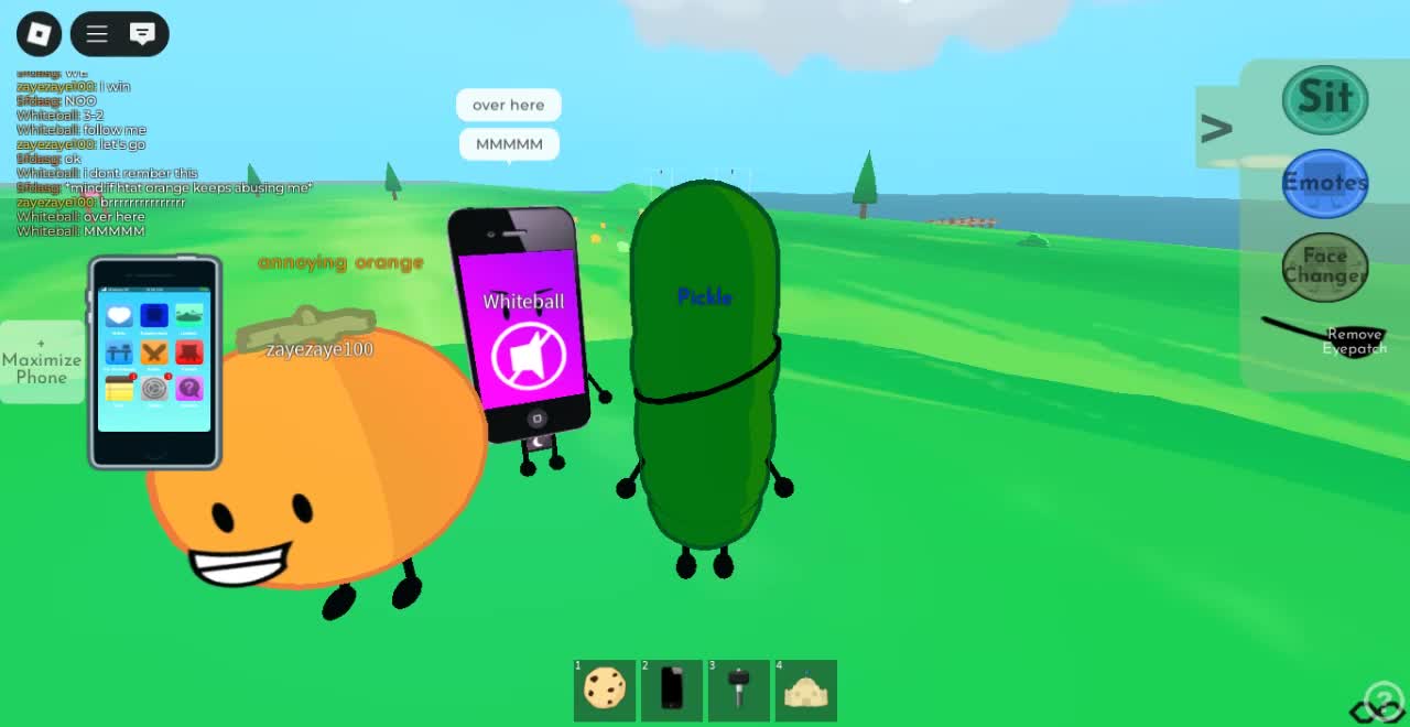Roblox-2025-06-09T15_34_12.199Z