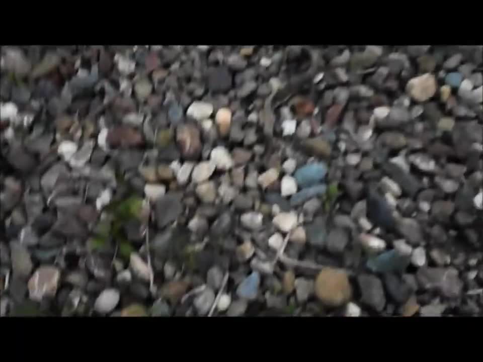 The Lost Videos “Isla Dino EP 6 (WIP)”