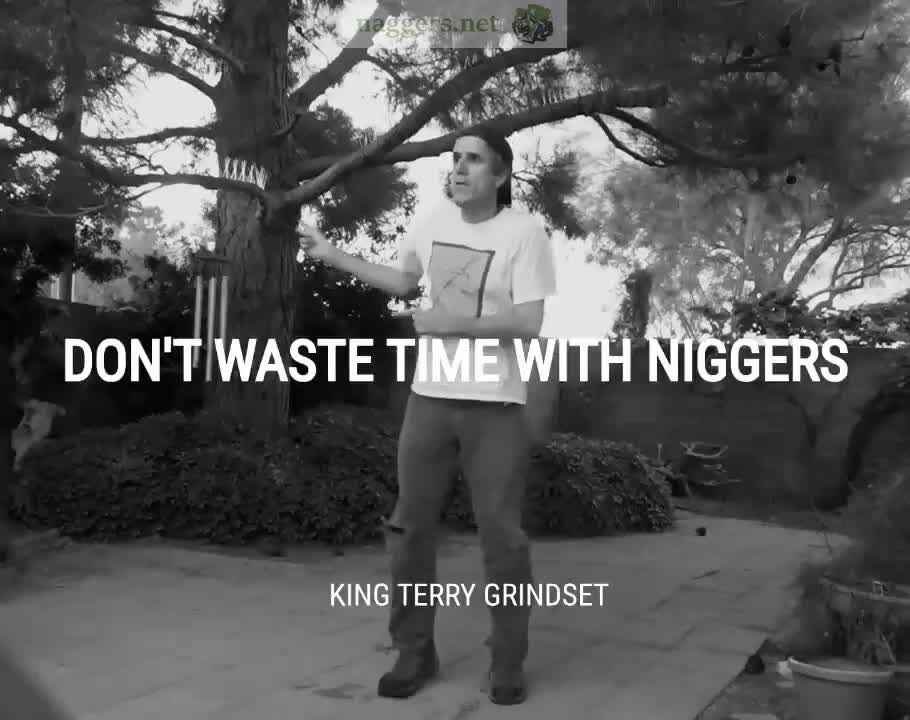 King Terry Grindset