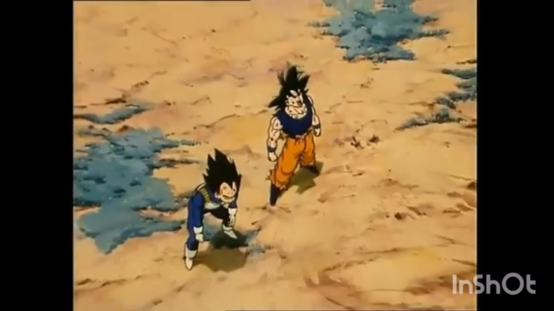 Vega-geta