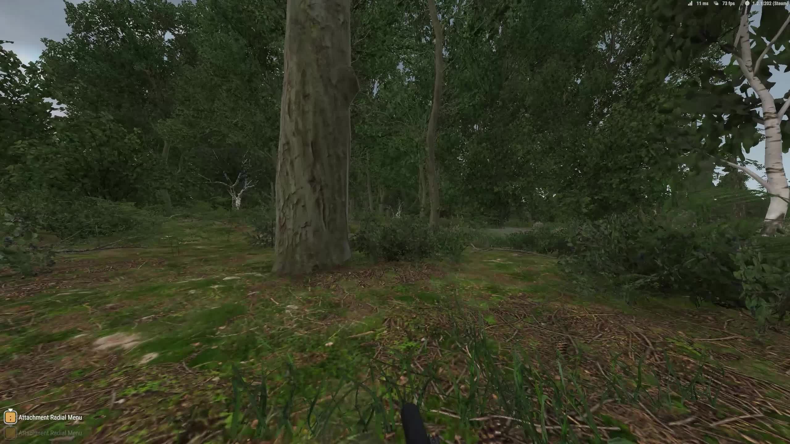 Mill sims are for gay old men