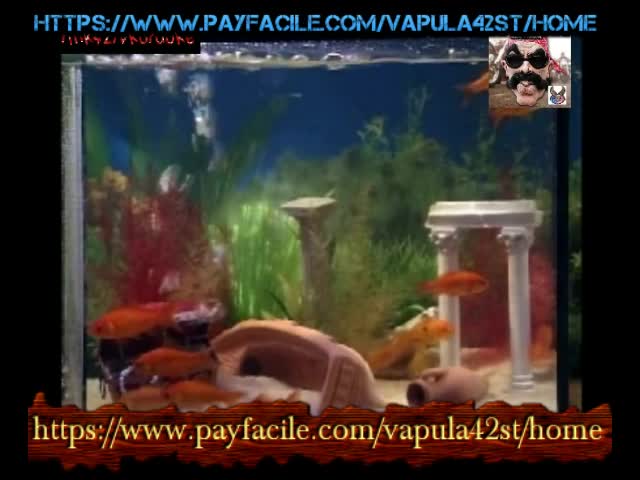 patrick sebastien  les sardines  live rmk42tvkaraoke  2022 Saint-Étienne loire rmk42tvkaraoke