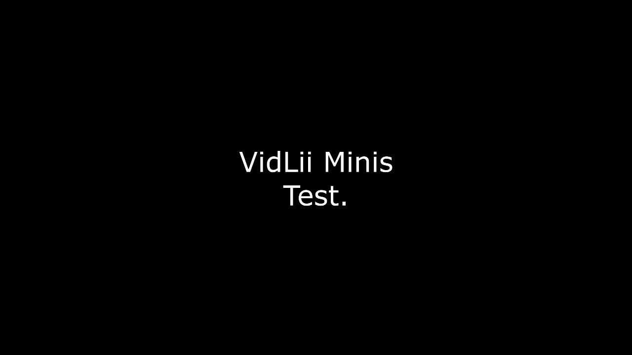 VidLii Minis Test #minis