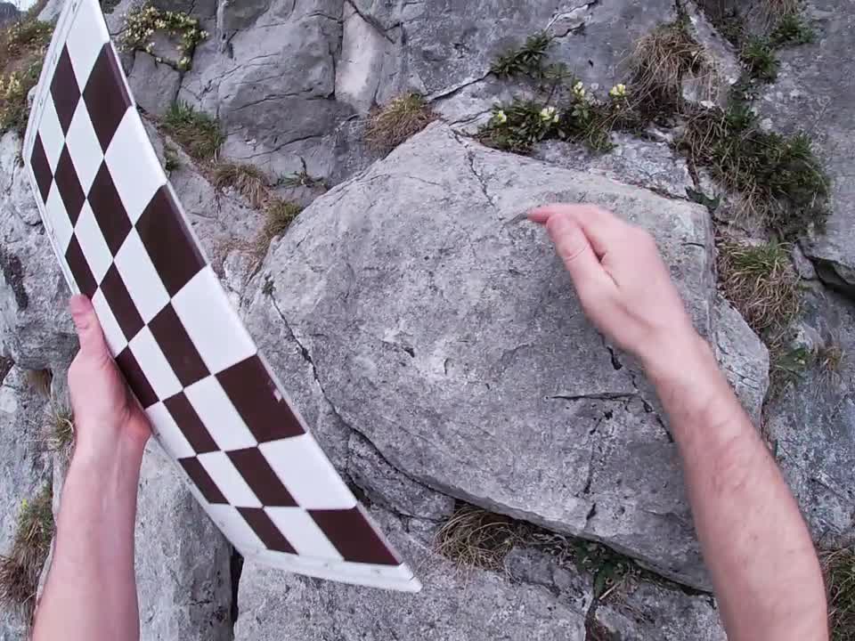 Eine Tripel -Schachstudie von Peter Krug