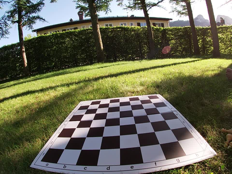 Chess study that leads to zugzwang
