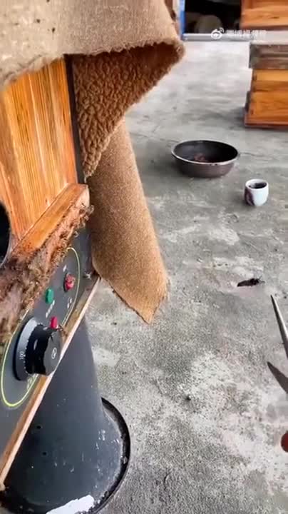 Beekeper vs Wasps - Total krieg